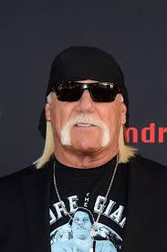Hulk Hogan Stock Photos