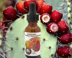 They believed this to be a sign of pending victory and settled on that site, the location of mexico city today. New Hot Beauty Miracle Product Prickly Pear Seed Oil Also Known As Cactus Seed Oil Barbary Fig Oil Indian Fig O In 2020 Prickly Pear Oil Organic Oil Prickly Pear