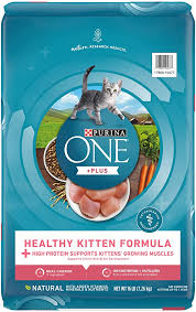 Ok, so our vet has recommended children's benadryl but from what i've read nobody can get their cats to take the stuff. Amazon Com Purina One Natural Dry Kitten Food Healthy Kitten 16 Lb Bag Everything Else