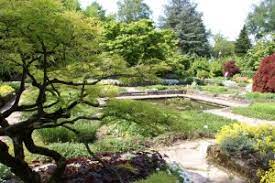 52 yorum, makale ve 64 resme bakın. Linz Reisen Sehenswurdigkeiten Botanischer Garten Linz Tourismus Information Linz Reise Informationen Angebote Offnungszeiten