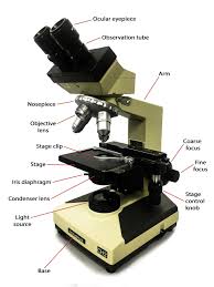 Introduction to microscopes and how they work. 1 5 Microscopy Biology Libretexts