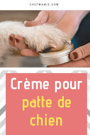 Epingle Sur Astuces Animaux
