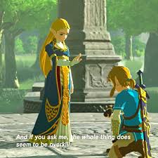The Legend Of Zelda Breath Of The Wild читы Princess Zelda Breath Of The Wild Legend Of Zelda Zelda Costume Zelda Cosplay