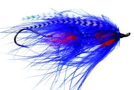 The fish taco is a simple fly to tie and provides a ton of action in the current. Free Shipping On All Steelhead And Salmon Flies At Red S Fly Shop
