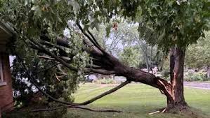 Meteorological Authorities Cancel All Severe Weather Warnings and Watches