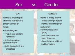 Gender Based Violence In Humanitarian Settings A Practical Guidlines
