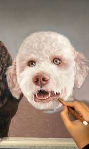 Martin's Kennel Bono 👌🏅 Je