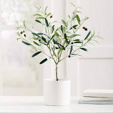 Tabletop Olive Tree Grandin Road In 2020 Indoor Olive Tree Faux Olive Tree Olive Tree