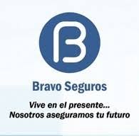 Seguros bravo