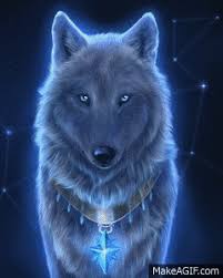 You can send these animations by email to your friends, post them on facebook or on your homepage and also by messenger as whatsapp, skype and icq. Wolves Gif On Make A Gif