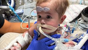 Fundraiser for Dalyse Cortez by Dyllan Godfrey : Help Baby Crew's Long  Journey for a New Heart