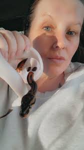 Finished my day with a beautiful king snake, courtland/Gleeson