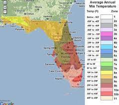 Florida Palm Trees Florida Palm Trees Plant Hardiness Zone Map Florida