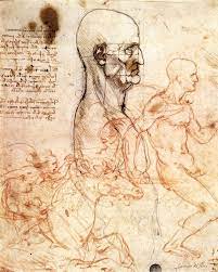 Pin On Leonardo Da Vinci Drawings