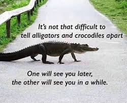 It S Not That Difficult To Tell Alligators And Crocodiles Apart One Will See You Later And Will See You In A Funny Animals Best Funny Pictures Funny Pictures