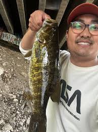 Not bad for an hour of fishing for some urban smallies. Man they fight so  hard in this current