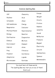 Year 7 Science Spelling Bee Kingdown School