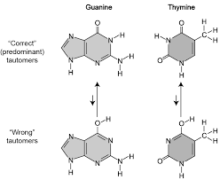 Dna contains the genetic information for the reproduction of life. Https Www Biointeractive Org Sites Default Files Media File 2020 03 Doublehelix Educator Film Pdf