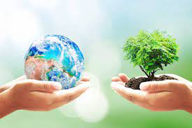 Estos son nuestros diez consejos para cuidar el medi. Beneficios Emocionales De Cuidar El Medio Ambiente Quiero Vivir Sano