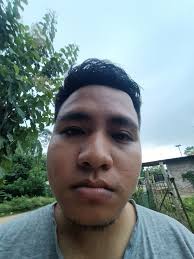 Hello everyone! Has anyone tried taking pictures with a wide angle lens? I  am a new owner of the Seestar S 30.