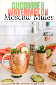 Moscow Mule Recipe Summer Vibes With Cucumber Watermelon In 2020 Mule Recipe Moscow Mule Recipe Watermelon Cocktail
