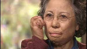 Anne Frank + Maya Lin + Vietnam War: Documentaries to Watch