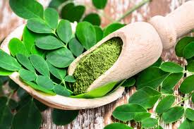 Image result for Moringa