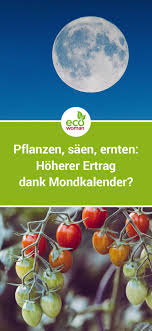 Pflanzen Saen Ernten Hoherer Ertrag Dank Mondkalender Mondkalender Pflanzen Mondkalender Pflanzen