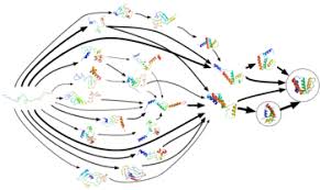 • would you like to come to dinner on friday? Protein Folding Wikipedia