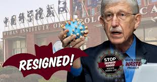 How We Did It: NIH Director Resigns Following WCW's Wuhan Lab $ Exposé —  White Coat Waste Project