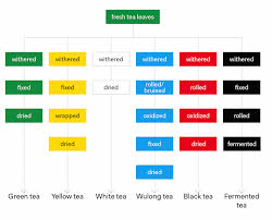 6 Tea Types A Beginners Guide Tea Stuff Types Of Tea