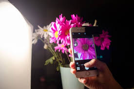 10 Tips For Macro Iphone Photography Close Up Smartphone Photos Smartphone Photography Phone Photography Iphone Photography