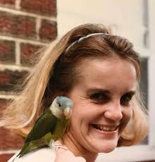 Fans of Saturday Sleepy Hollow and Chuck Elliott