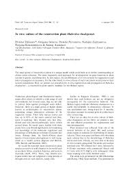 Here, we have reviewed the effects of drought stress on the growth, phenology, water and nutrient relations, photosynthesis, assimilate partitioning, and respiration in. Pdf In Vitro Culture Of The Resurrection Plant Haberlea Rhodopensis Dimitar Djilianov Academia Edu