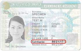 We did not find results for: Can I Apply For Citizenship With An Expired Green Card