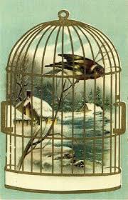 Bird In A Gilded Cage Book Victorian Graphic Bird In Gilded Cage Instant Art Victorian Illustration Graphics Fairy