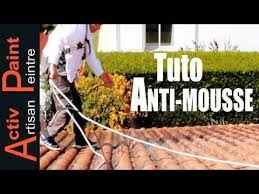 2 4 Nettoyage De Toiture Sans Javel Nettoyer Tuiles Noircies Youtube En 2020 Nettoyage Toiture Toiture Comment Nettoyer Des Tuiles