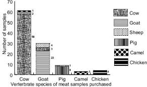 Camel meat specificity gene sequence screening fluorescence pcr test kit. Species Substitution In The Meat Value Chain By High Resolution Melt Analysis Of Mitochondrial Pcr Products Biorxiv