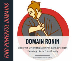 Domain Ronin