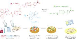 However, the future contributions of biotechnology to the energy industry are not only influenced by technical advances in biotechnology, but also by the price of fossil fuels, the development of renewable energy generally, politics, global population growth, and other factors. Applications Of Bioluminescence In Biotechnology And Beyond Chemical Society Reviews Rsc Publishing
