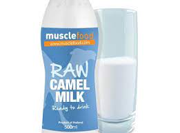 People in each group took 500 ml of their respective milk type; Raw Camel S Milk Reaches Market With 19 Price Tag News The Grocer