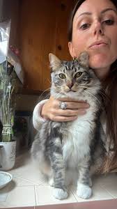 Fundraiser by jessica crooks : Rocket Walk Again