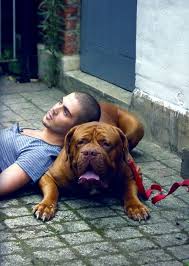 Max George Photo Max Man And Dog Bordeaux Dog Cute Dogs