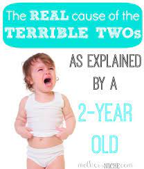 Guest Post By A 2 Year Old And A Toddler S Dream Giveaway Kids Behavior Good Parenting Terrible Twos