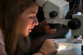 FGCU hosts free STEM camp for high school girls