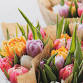 Build Your Own Bouquet! 💐