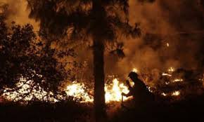 ไฟผิวดิน (surface fire) คือไฟป่าที่ลุกลามไปตามพื้นดิน โดยเผาไหม้เชื้อเพลิงบนพื้นป่า ทั้งใบไม้และกิ่งไม้แห้งที่ตกสะสมอยู่บนพื้น. à¹à¸™à¸°à¸§ à¸˜ à¸› à¸­à¸‡à¸ à¸™à¹„à¸Ÿà¸› à¸² Thaihealth Or Th à¸ªà¸³à¸™ à¸à¸‡à¸²à¸™à¸à¸­à¸‡à¸— à¸™à¸ªà¸™ à¸šà¸ªà¸™ à¸™à¸à¸²à¸£à¸ªà¸£ à¸²à¸‡à¹€à¸ªà¸£ à¸¡à¸ª à¸‚à¸ à¸²à¸ž à¸ªà¸ªà¸ª