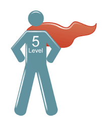 Level 5 lighting is a proprietary led permanent lighting technology customized to match your home and is nearly undetectable during the day. Level 5 Leadership With Project Management 2 0