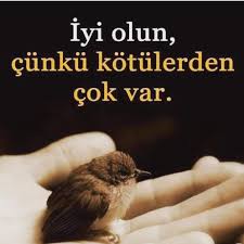 Ebruli Kedievi On Instagram Kedi Kediler Kedisahipleri Kedisever Kediseverler Evcilhayvan Hayvan Hayvanlar Hayvansever Hayva Hayvanlar Kedi Hayvan