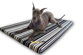 However, this collection of low budget dog beds have met the standard requirements alongside the price factor. Extra Large Stripe Comfort Orthopedic Memory Foam Dog Bed